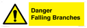 danger-falling-branches~